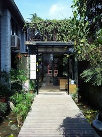 Narrow walkway along trees