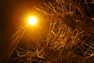 Close-up of illuminated lights against sky at night