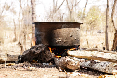 Close-up of bonfire on wooden log