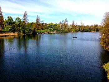 Reflection of trees in lake