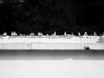 Low angle view of birds on wall