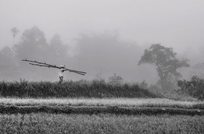 Man carrying wood in fog