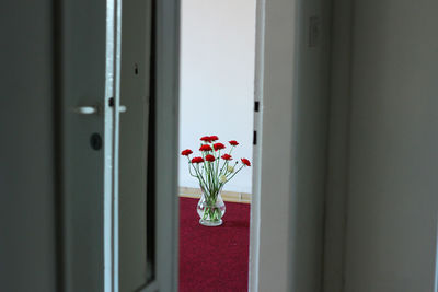 Close-up of vase seen through door