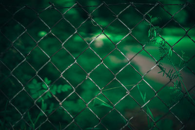 Full frame shot of plants seen through chainlink fence