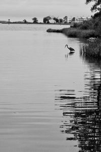 Reflection of man in lake