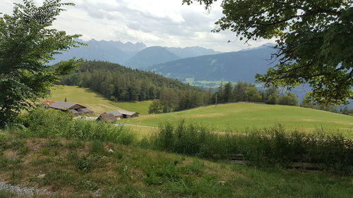 Scenic view of field against sky