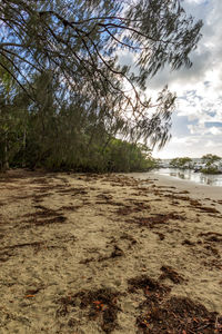 Scenic view of beach against sky