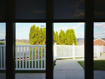 Trees and plants seen through window of building