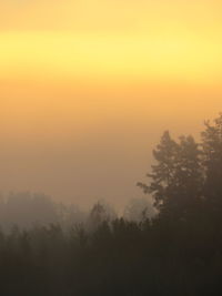 Silhouette trees against sky during sunset