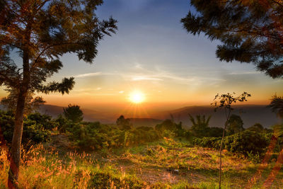 Scenic view of landscape against sky during sunset