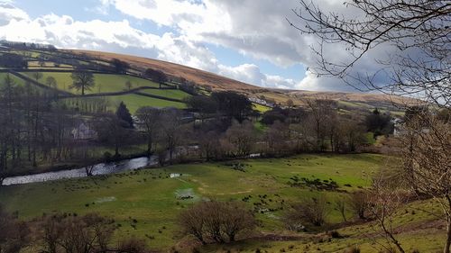 Scenic view of landscape against sky