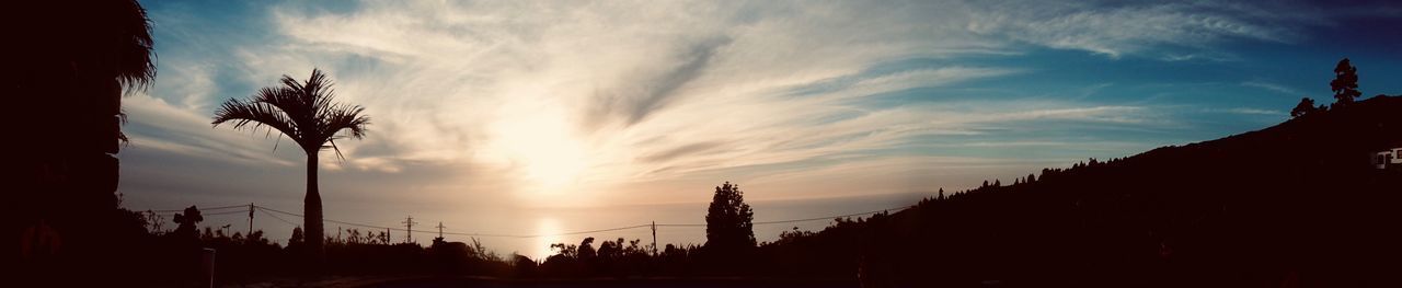 Silhouette trees against sky during sunset