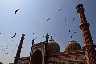 Low angle view of birds flying in sky