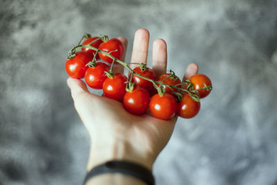 Midsection of person holding tomatoes