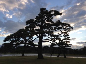 Trees on landscape against cloudy sky