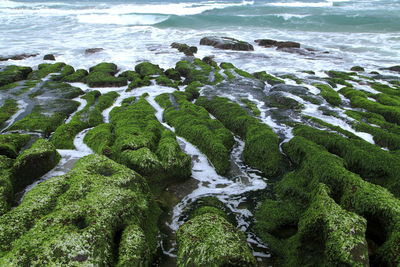 High angle view of rocks on sea shore