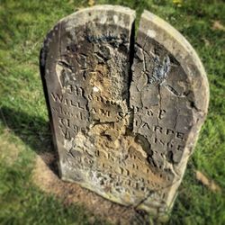 Close-up of stone