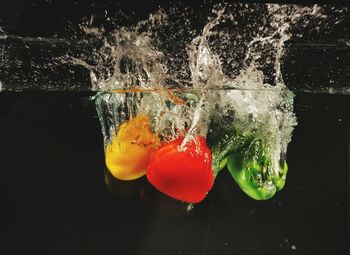 Close-up of berries on water against black background