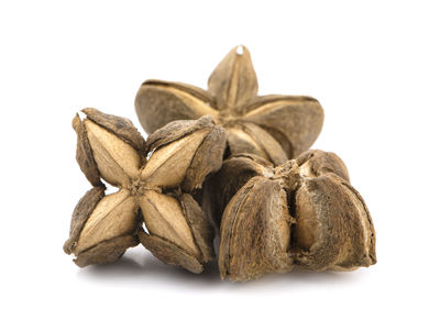 Close-up of chocolate against white background