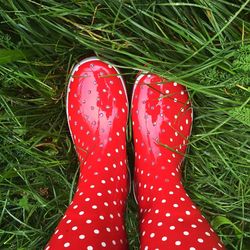 High angle view of shoes on grassy field