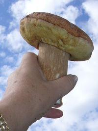 Low angle view of hand holding ice cream against sky