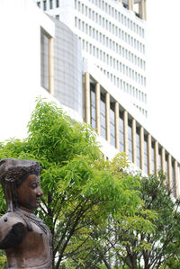 Low angle view of tree against building in city