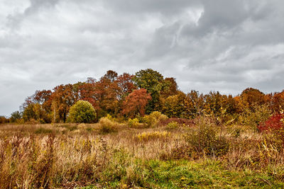 Trees on field against sky during autumn