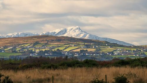 Scenic view of field against sky