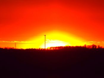 Silhouette of trees at sunset