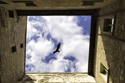 Low angle view of man standing against building