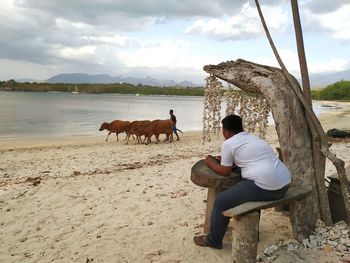 Man sitting on land against sky