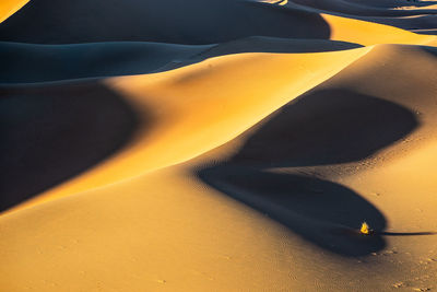 High angle view of sand dune