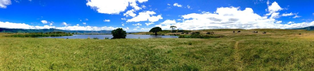 Scenic view of landscape against cloudy sky