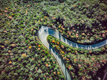 High angle view of bridge amidst trees in city