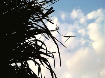 Low angle view of cloudy sky