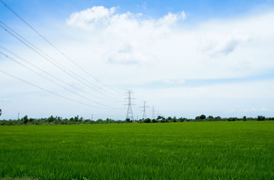 Scenic view of agricultural field against sky