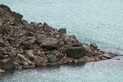 Rock formation in sea