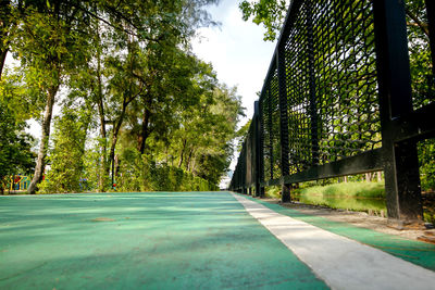 Empty road amidst trees in forest against sky