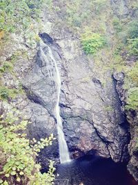 Scenic view of waterfall in forest
