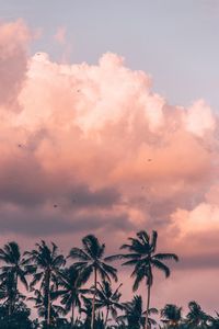 Low angle view of silhouette palm trees against sky