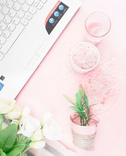 Directly above shot of laptop with potted plant on table