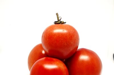 Close-up of tomatoes against white background