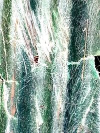 Full frame shot of water