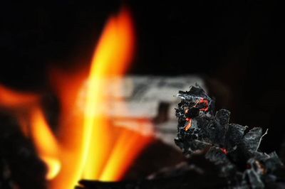 Close-up of bonfire at night