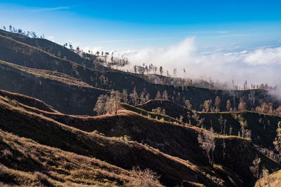 Panoramic view of landscape against sky