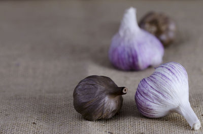 Close-up of garlic on sheet