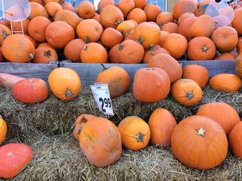 High angle view of pumpkins for sale in market