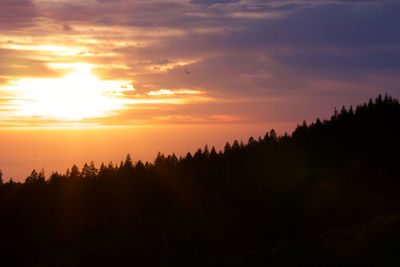 Silhouette trees against sky during sunset