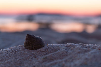 Close-up of rocks on shore at sunset