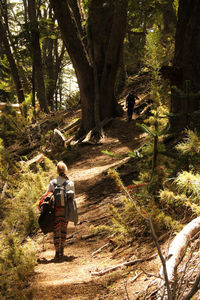 Rear view of people walking on footpath at forest